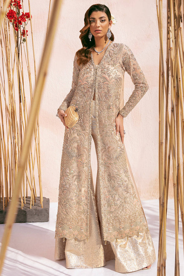 New Pakistani Dress Design 2023 - SareesWala.com